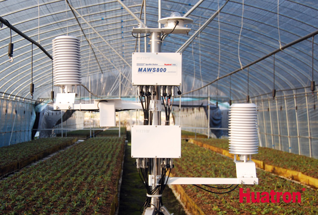 ��������c���L�O�y�����������