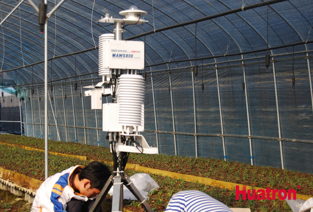 ��������c���L�O�y�����������