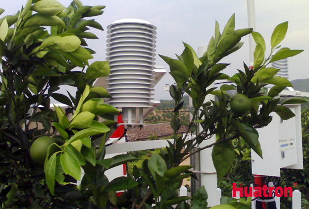 ֲ�ﲡ�x���c�L�U˪��(��վ���{�ڌӜض�)